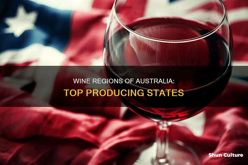 which australian state produces the most wine