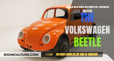 The Man Behind the Beetle: Austrian Engineer's Legacy