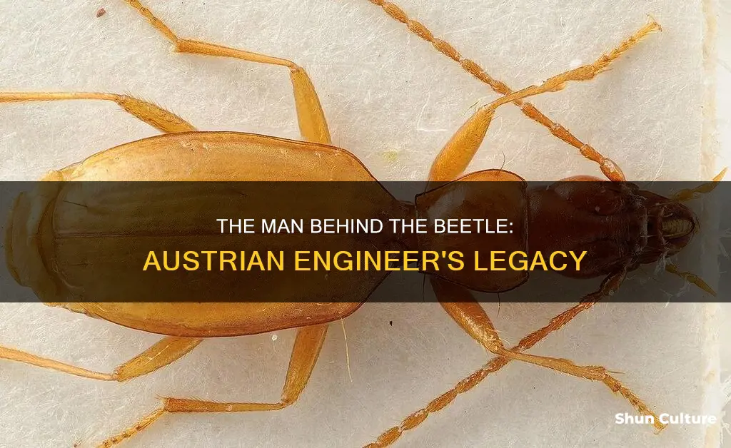 which austrian automotive engineer created the volkswagen beetle