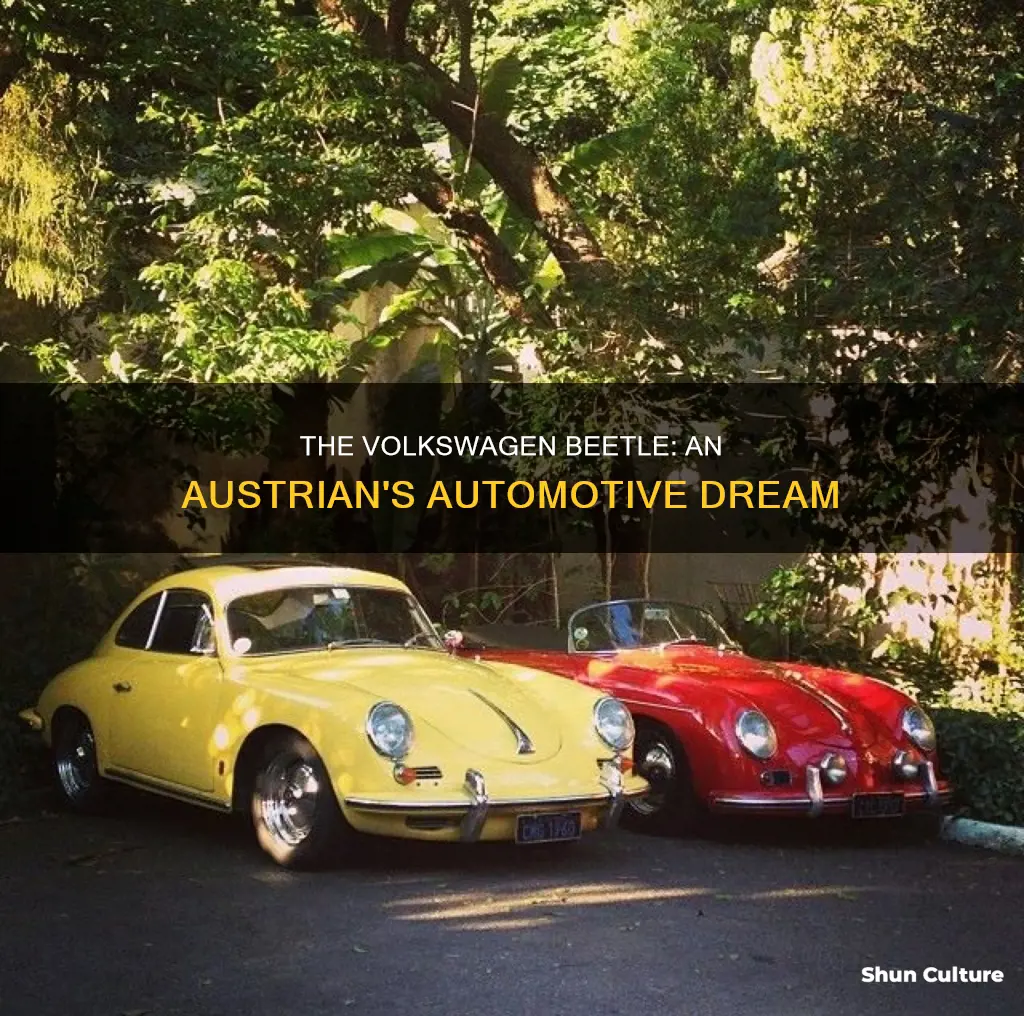 which austrian automotive engineer created the volkswagen beetle
