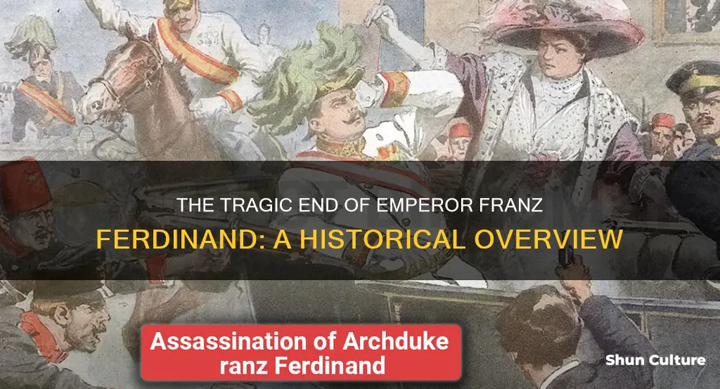 which austrian emperor was assassinated