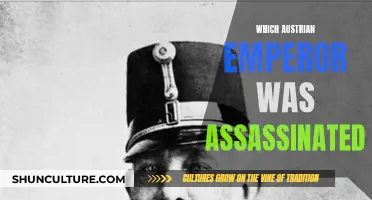 The Assassination of Emperor Franz Ferdinand: A Fateful Day