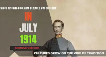 Who Started WWI? Austria-Hungary's Fateful Decision