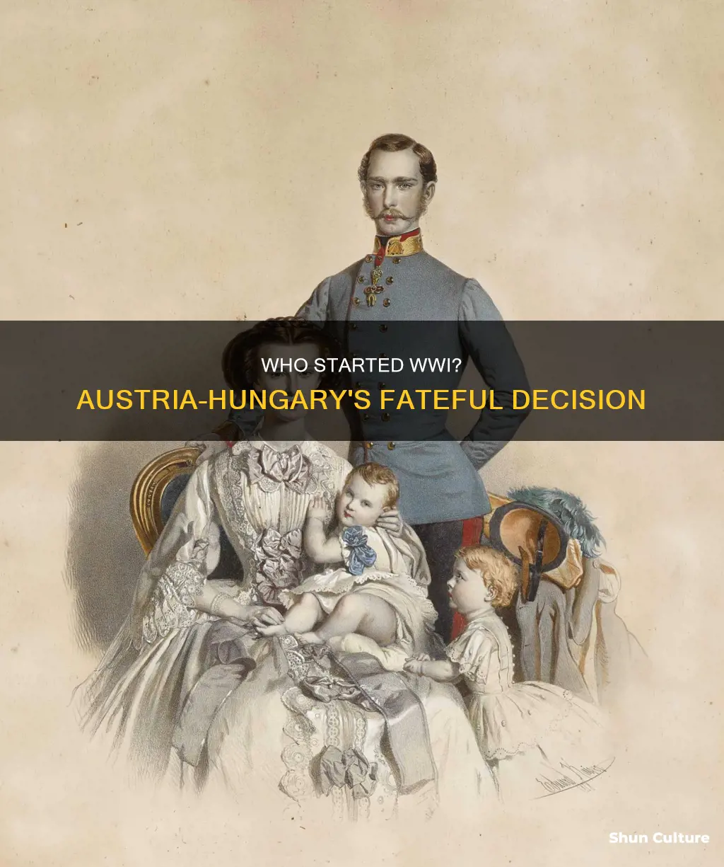 which austrian-hungarian declared war on serbia in july 1914