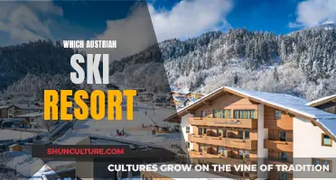 The Best Austrian Ski Resort for Your Next Vacation