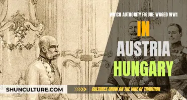Who Led Austria-Hungary into World War I?