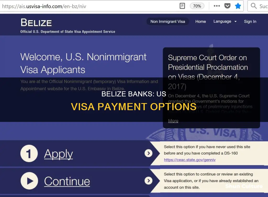 which bank in belize to pay us visa