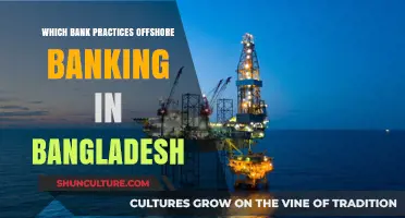 Exploring Offshore Banking Practices in Bangladesh: Which Banks Offer Services?