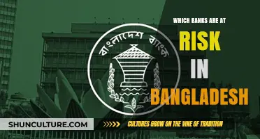 Bangladesh's Banking Sector: Identifying Vulnerable Institutions and Potential Risks