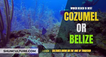 Cozumel or Belize: Which Beach is Better?