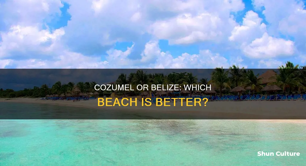 which beach is best cozumel or belize