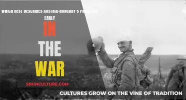 Austria-Hungary's Early War Strategies: Effective or Misguided?