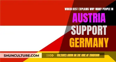 Austria-Germany: A Historical Alliance and Strong Cultural Ties