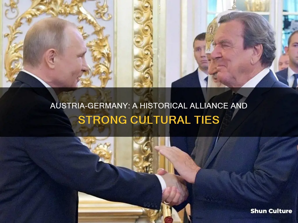 which best explains why many people in austria support germany