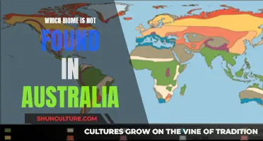 Biomes Missing from Australia's Diverse Landscape