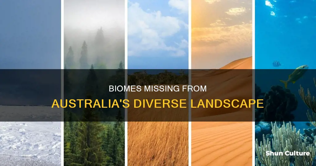 which biome is not found in australia