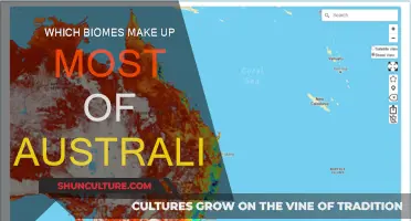 Australia's Unique Biomes: Exploring the Land Down Under