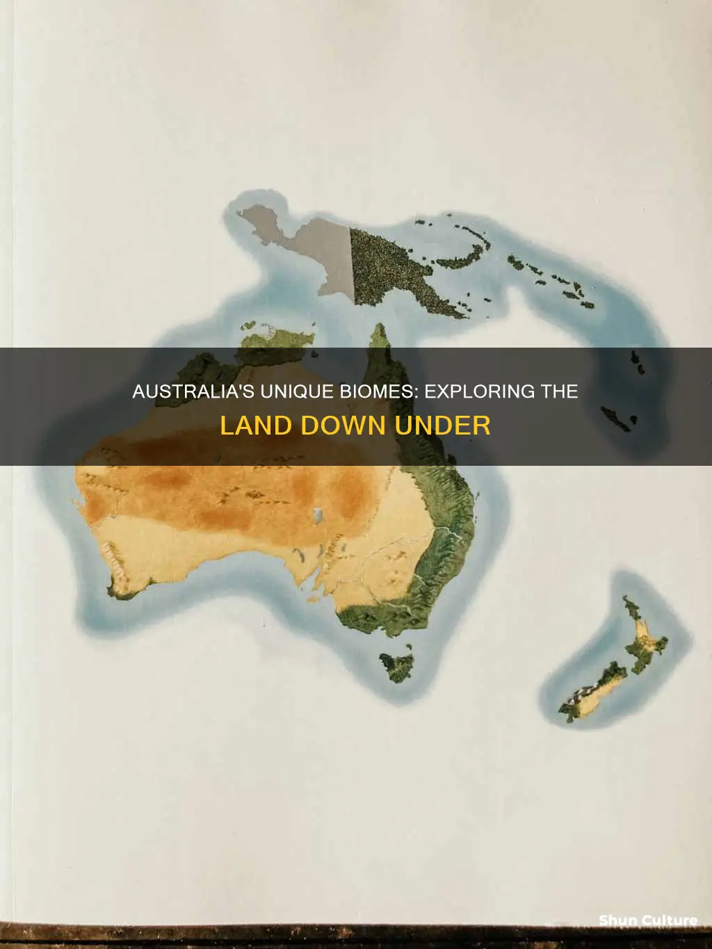 which biomes make up most of australia