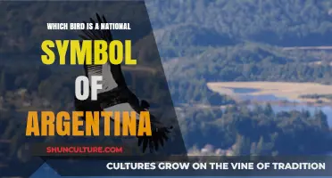 The Proud Andean Condor: Argentina's Majestic National Symbol