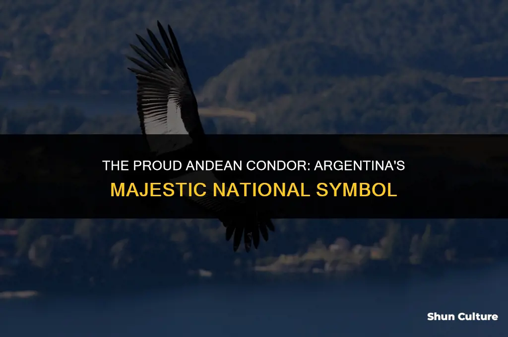 which bird is a national symbol of argentina