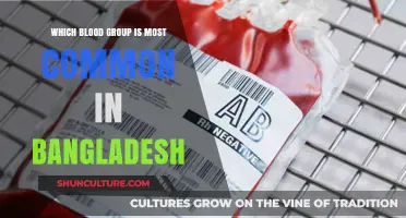 Bangladesh's Most Common Blood Group: Insights and Statistics Revealed