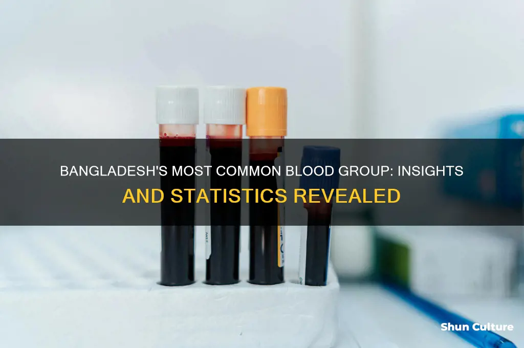 which blood group is most common in bangladesh
