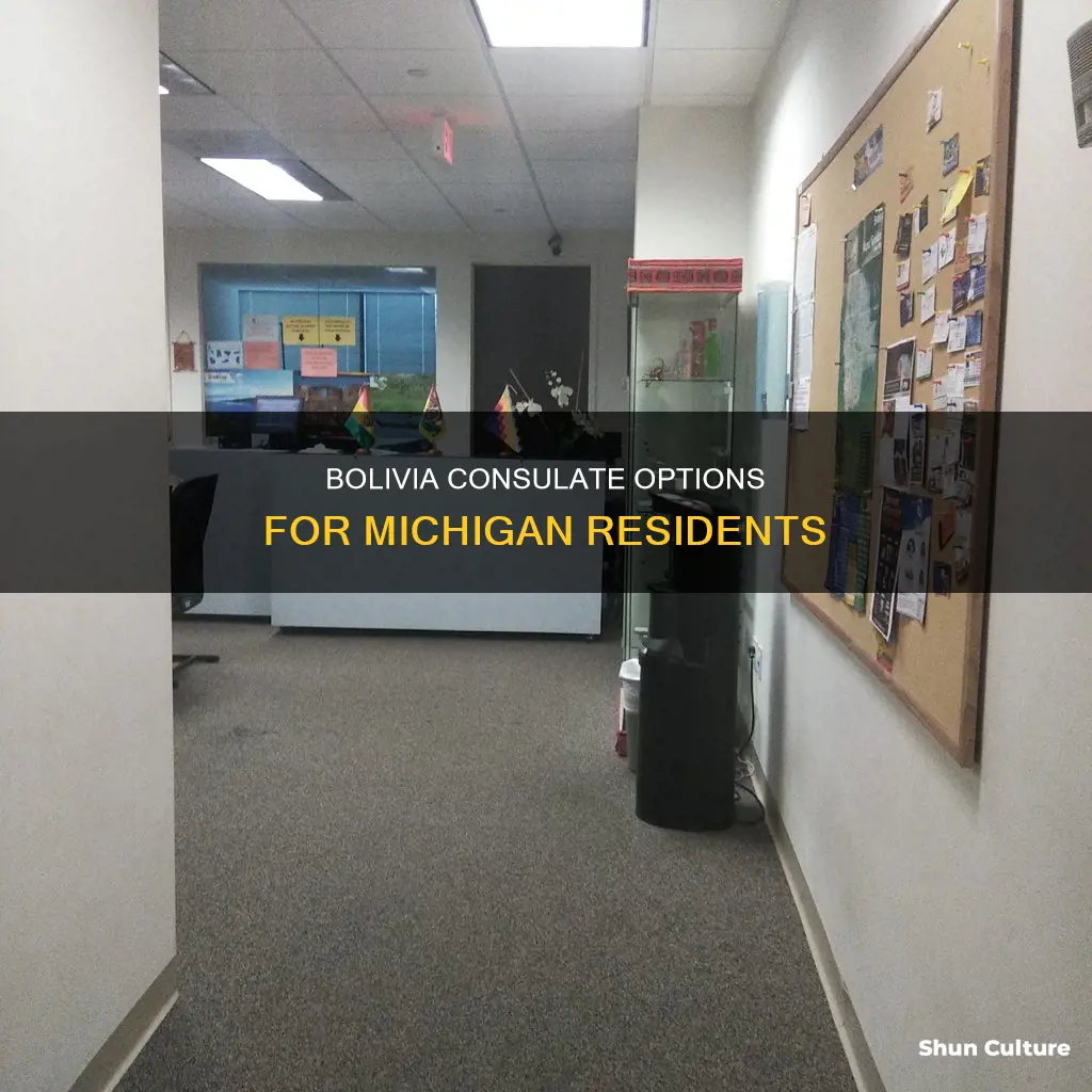 which bolivia consulate for michigan resident