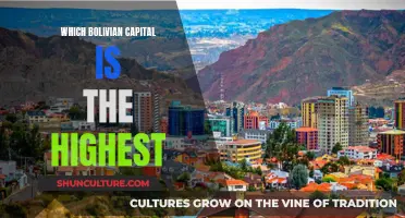 Exploring the Highest Bolivian Capital City