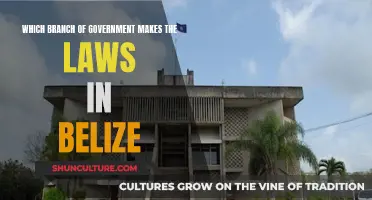 Belize's Law-Making Branch