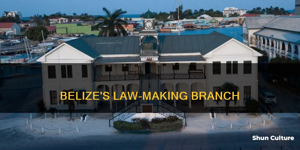 which branch of government makes the laws in belize