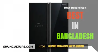 Top Fridge Brands in Bangladesh: A Comprehensive Guide to Choosing the Best
