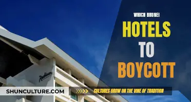 Brunei's Hotels: Boycott and Be Heard