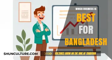 Top Profitable Business Ideas Tailored for Bangladesh's Growing Economy
