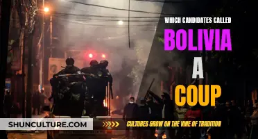 Who Deemed Bolivia a Coup and Why?