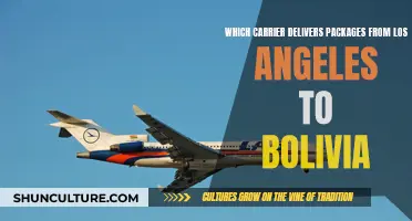 Shipping from LA to Bolivia: Which Carrier Delivers?