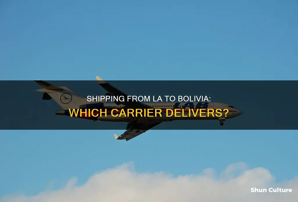 which carrier delivers packages from los angeles to bolivia