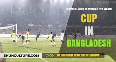 Where to Watch FIFA World Cup in Bangladesh: TV Channels Guide