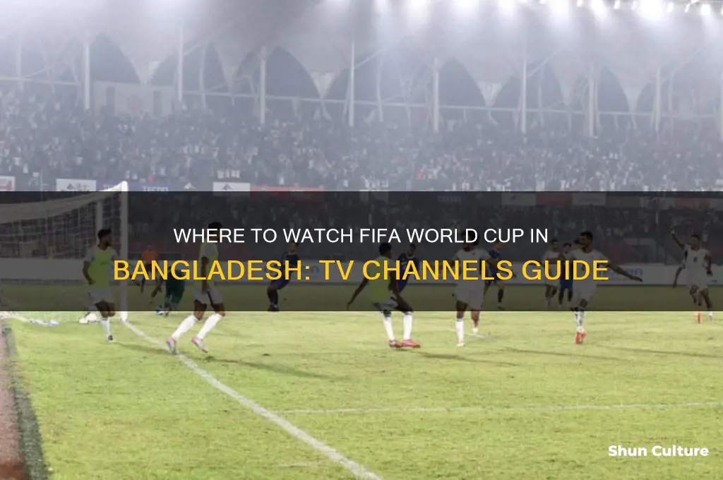 which channel is showing fifa world cup in bangladesh