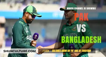 Where to Watch Pakistan vs Bangladesh Live: TV Channels Guide