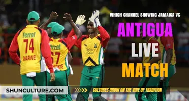 Jamaica vs Antigua Live: Which Channel is Broadcasting the Match?