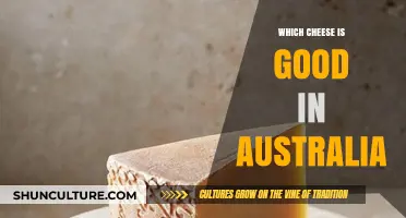 Cheese Delights: Australia's Top Picks