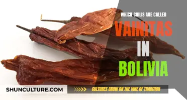 The Vainitas of Bolivia: A Chili Odyssey