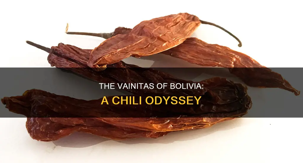 which chilis are called vainitas in bolivia