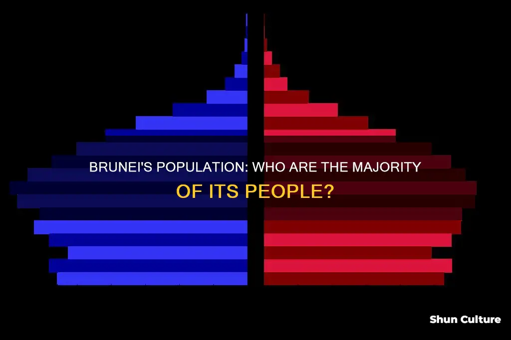 which choice best describes the majority of brunei