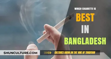 Top Cigarette Brands in Bangladesh: A Comprehensive Review and Guide