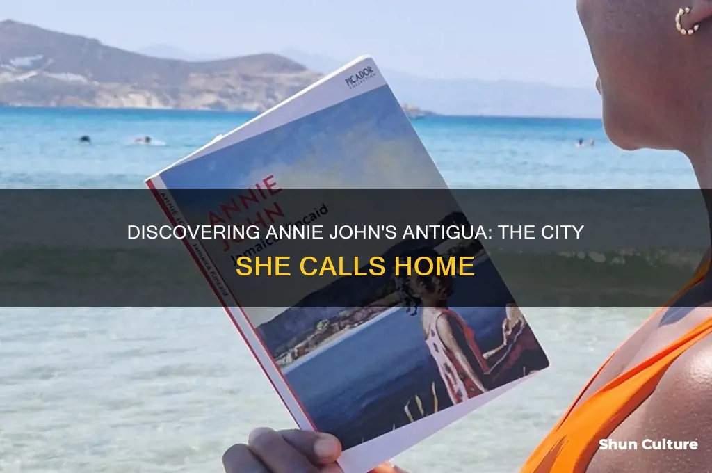which city does annie john live in antigua