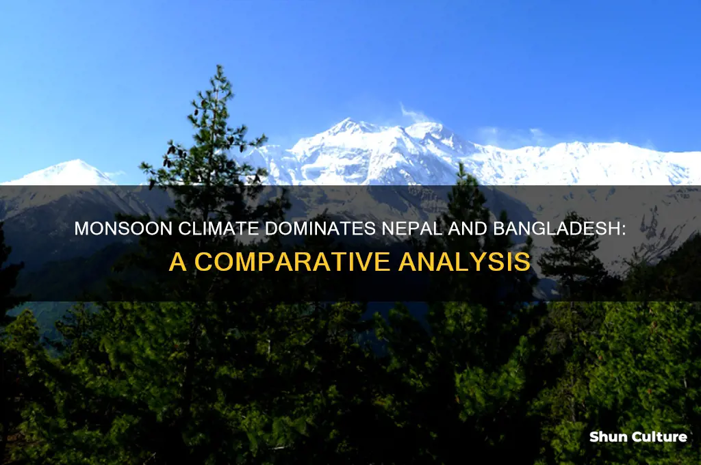 which climate dominates nepal and bangladesh