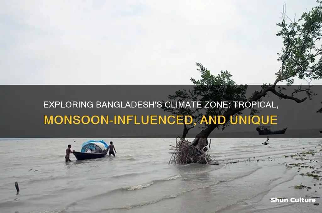 which climate zone is bangladesh