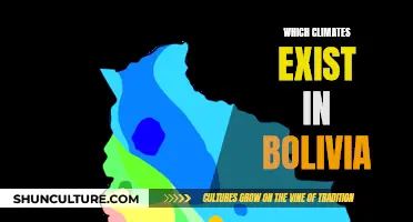 Bolivia's Diverse Climates: From Mountains to Jungle