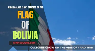 Bolivia's Flag: The Color That Didn't Make the Cut